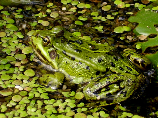 435588 (a): :2560x1920